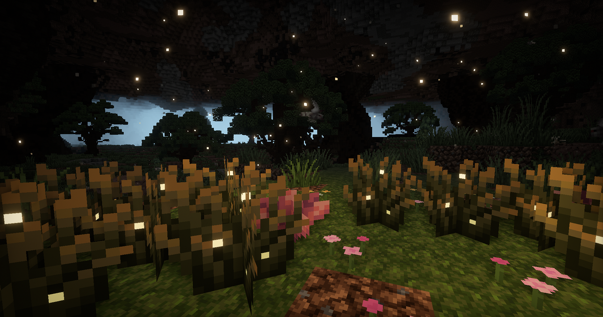 Extension N°1 - BOTAA: Dragons Awakenings